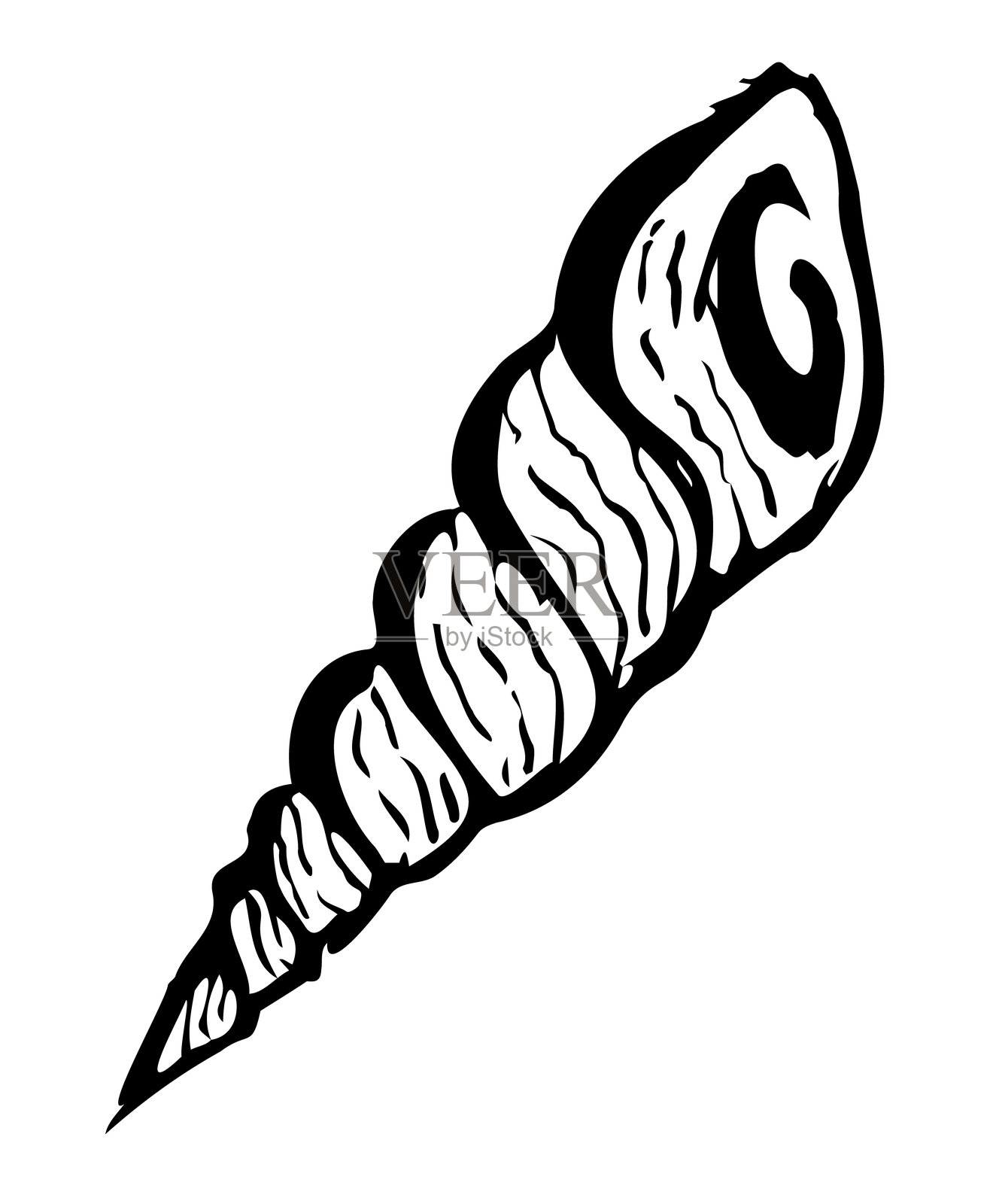 美丽的黑色螺旋海螺，矢量图形插画图片素材