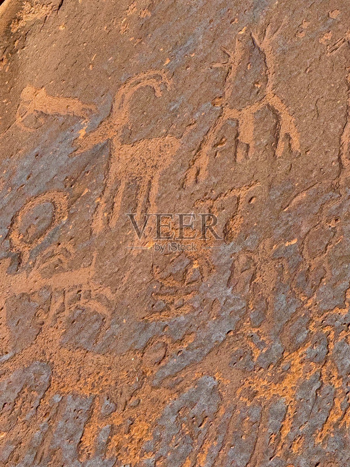 沙岛岩画照片摄影图片