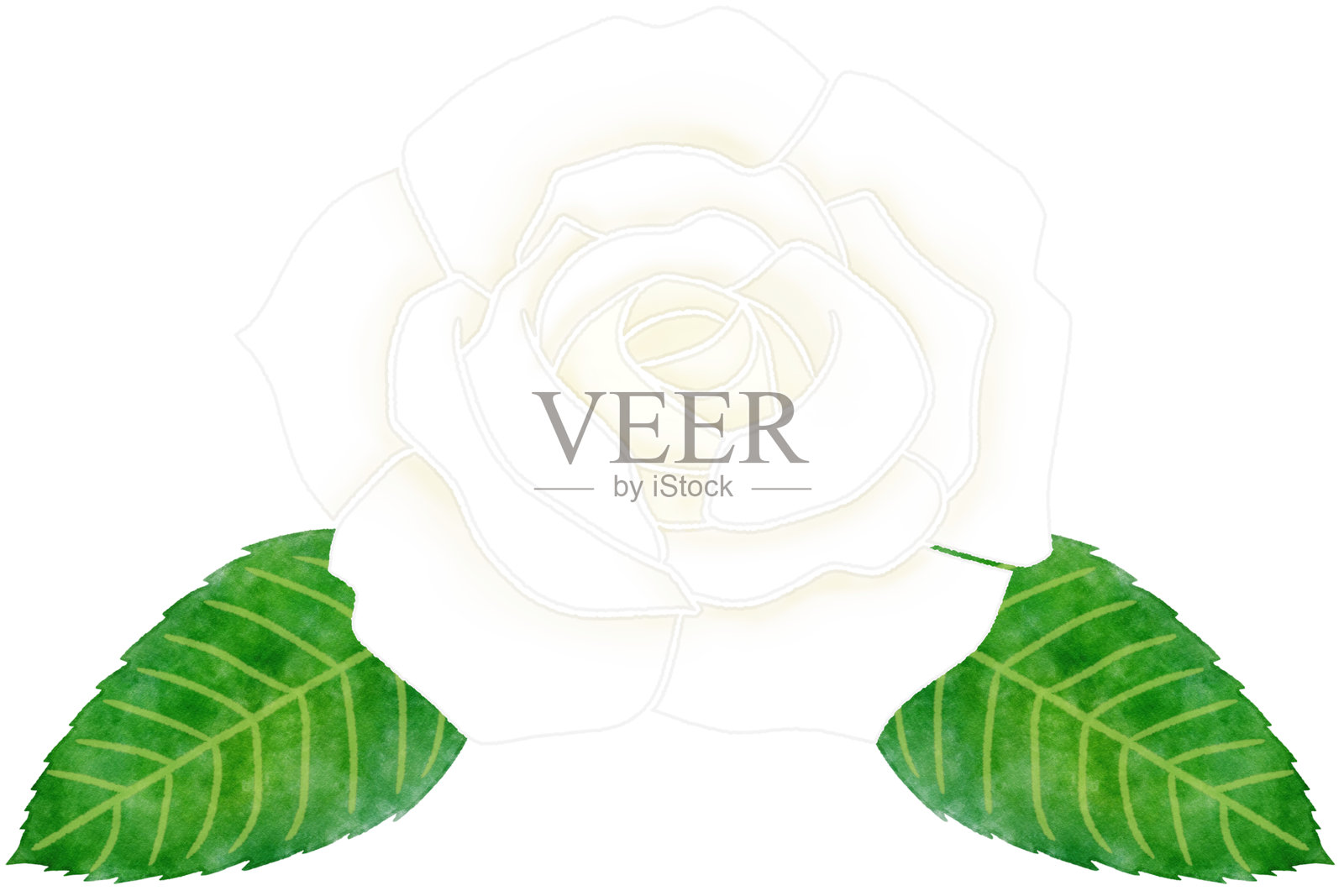 单朵白玫瑰剪贴画图像插画图片素材