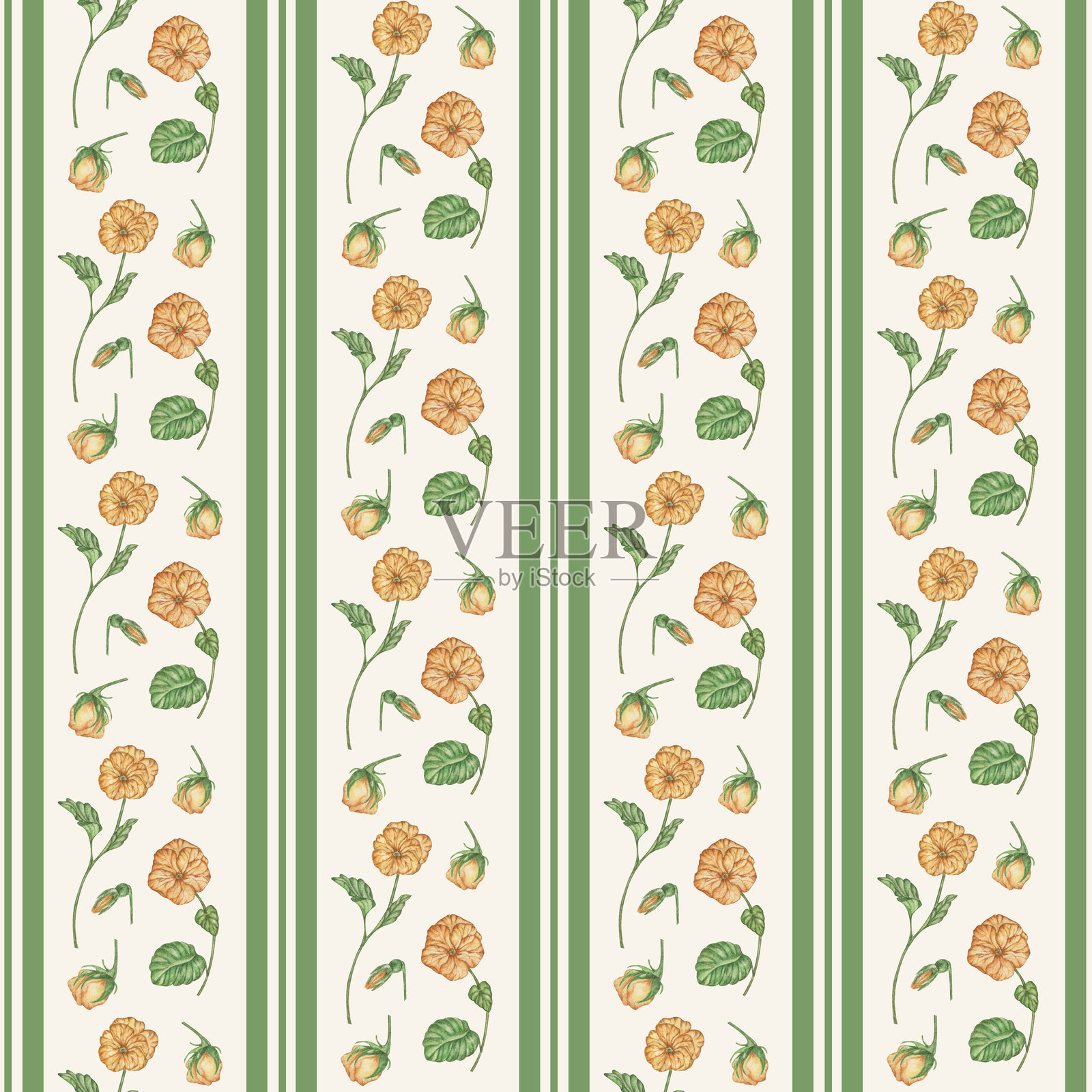 经典的无缝垂直条纹花卉图案插画图片素材