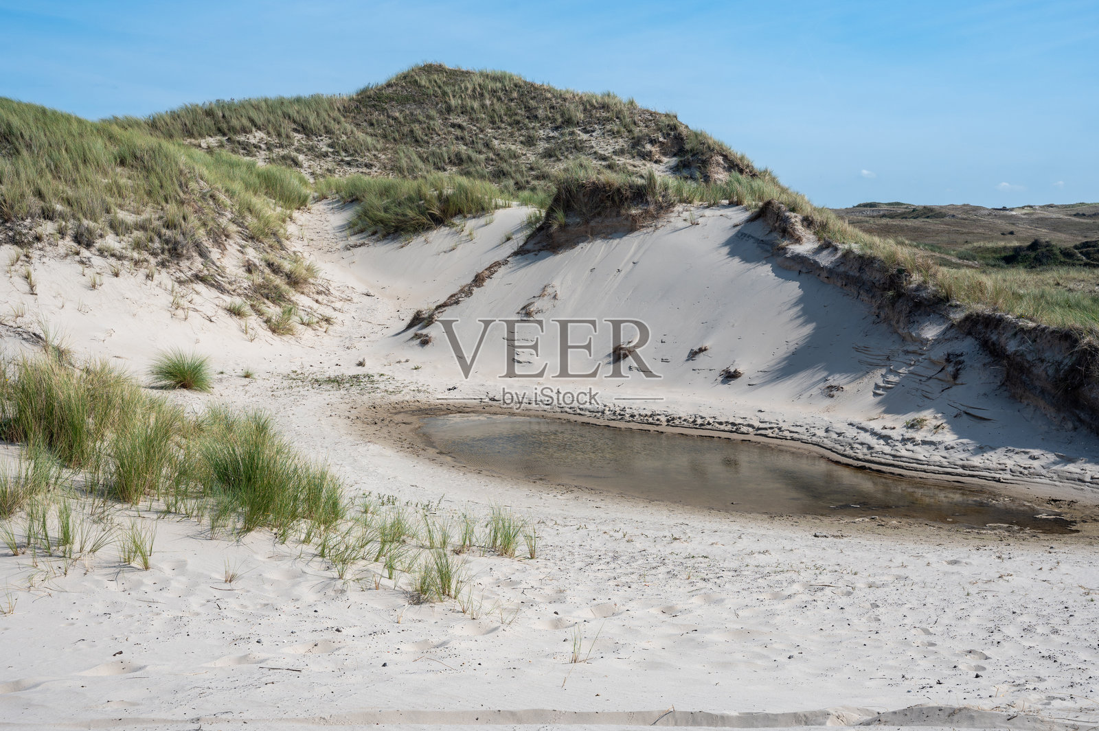 北海海岸的沙丘、饮水池和海滩草照片摄影图片