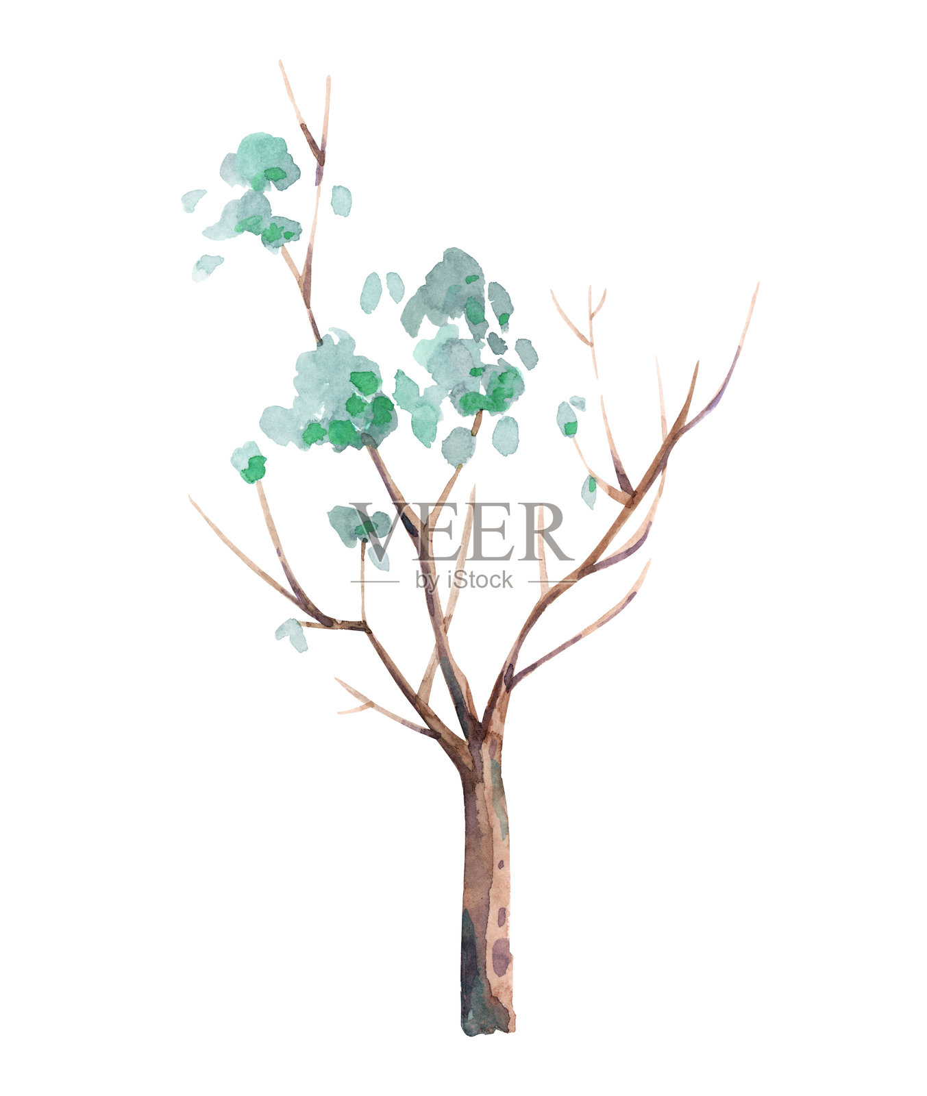 水彩树干插图插画图片素材