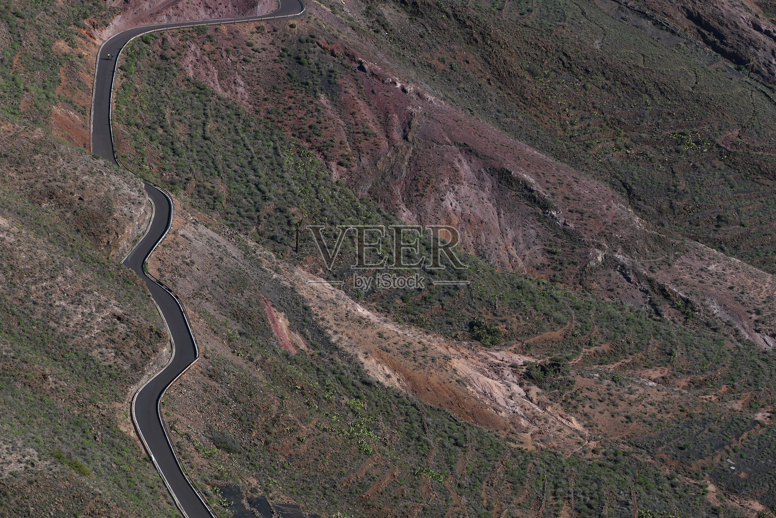 从兰萨罗特岛哈里亚观景点看到的梯田作物间的小路照片摄影图片