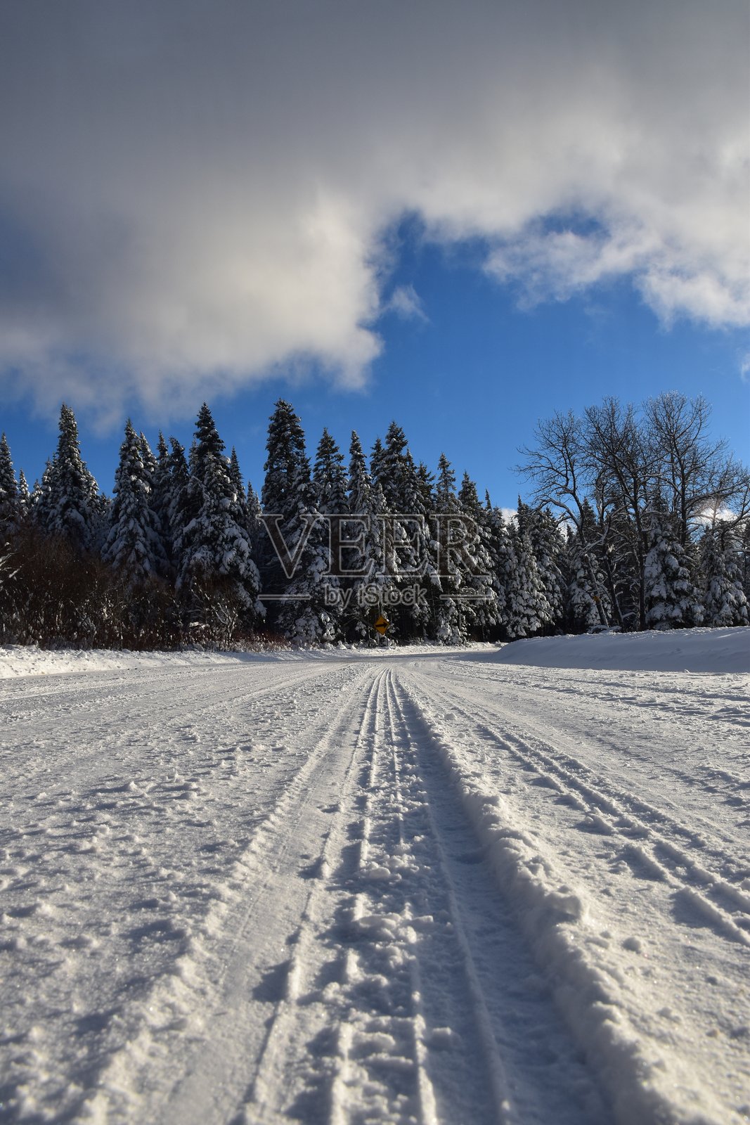 北方的等级照片摄影图片