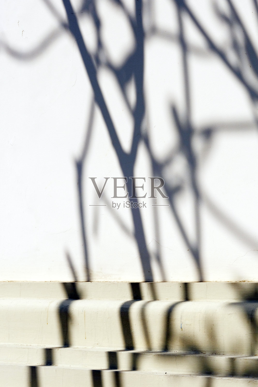 绿色公园中树的影子照片摄影图片