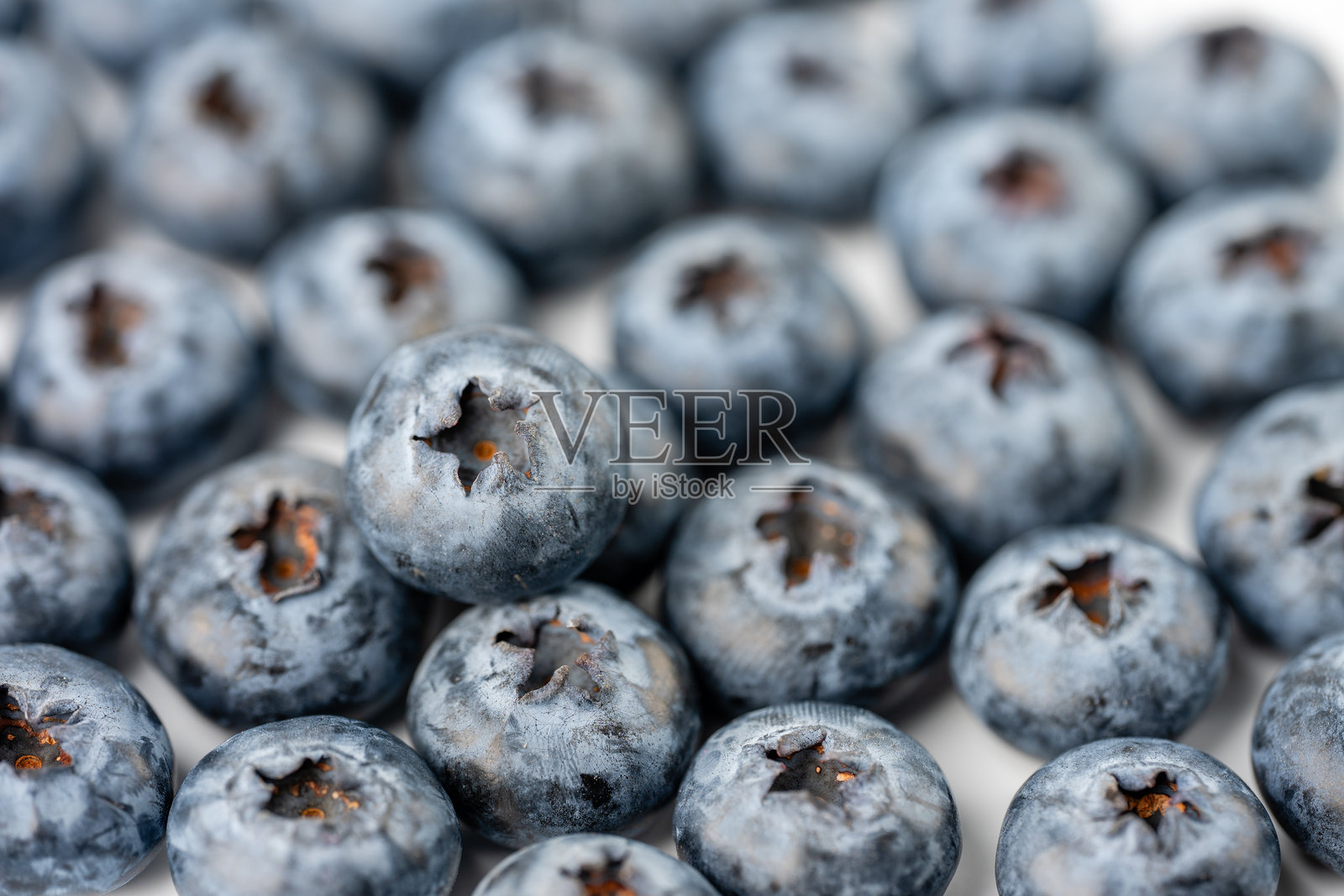 白色背景上的蓝莓特写照片摄影图片