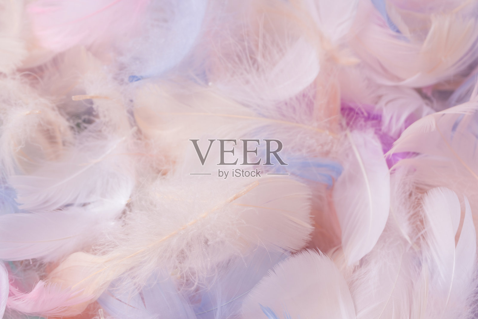 彩色羽毛背景，俯视图。照片摄影图片