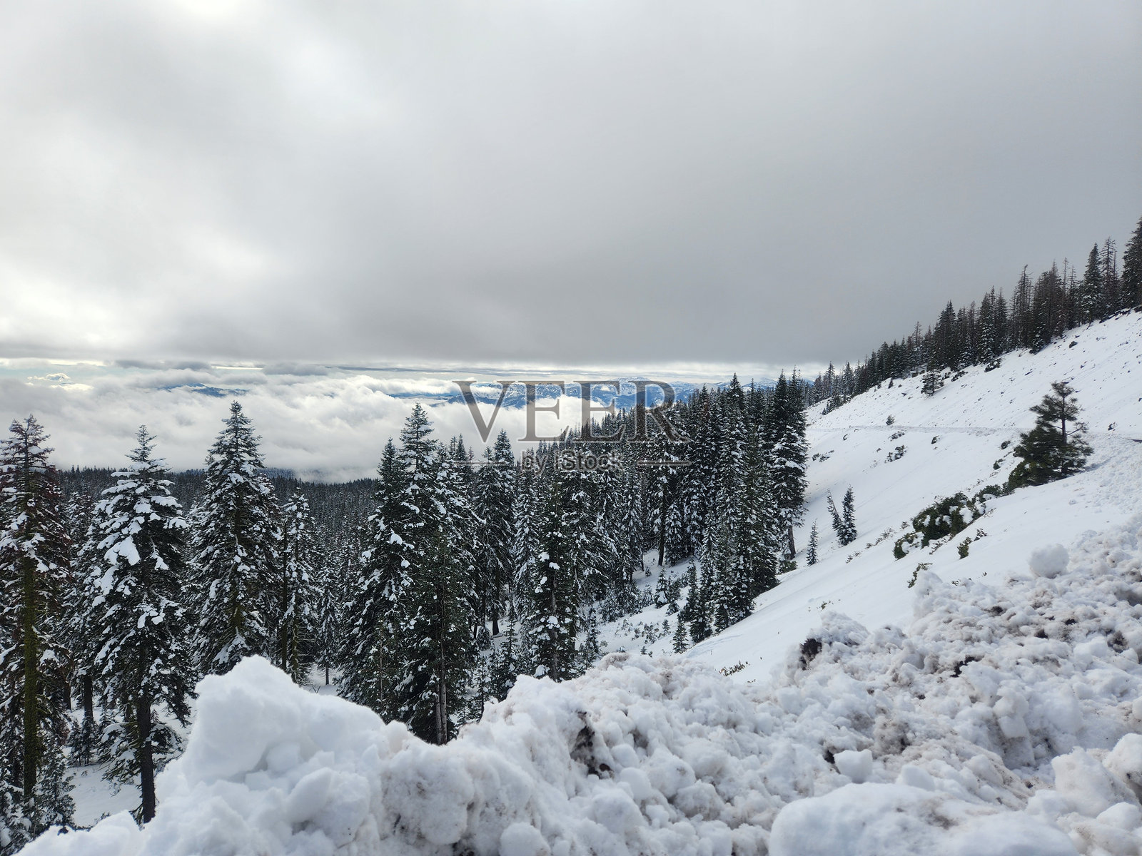 冬季仙境照片摄影图片