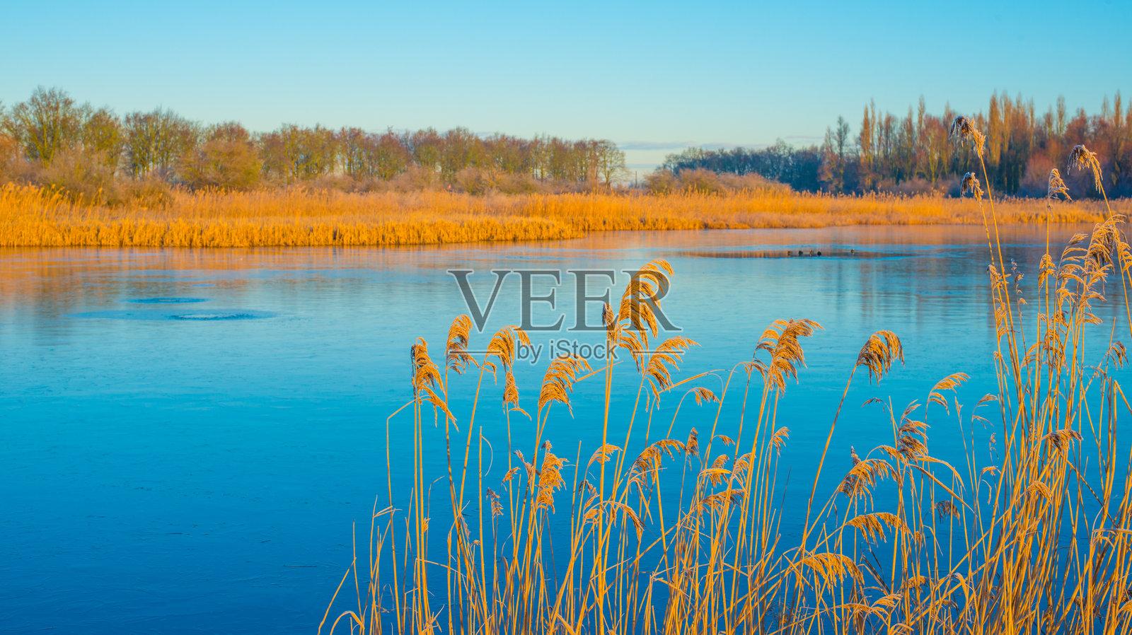 冬季日出时分，冰冻湖泊的边缘照片摄影图片