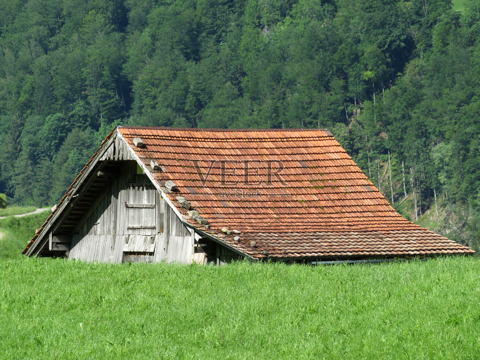 湖龙根湖畔的传统乡村建筑和家庭养殖农场 - 瑞士奥布瓦尔德州照片摄影图片