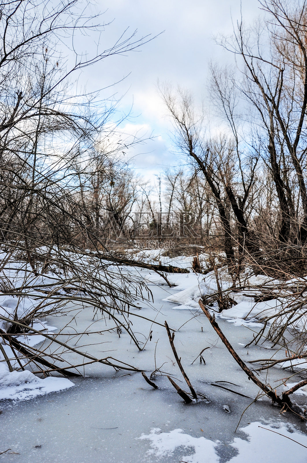 冰冻河流与树木的美丽景色照片摄影图片