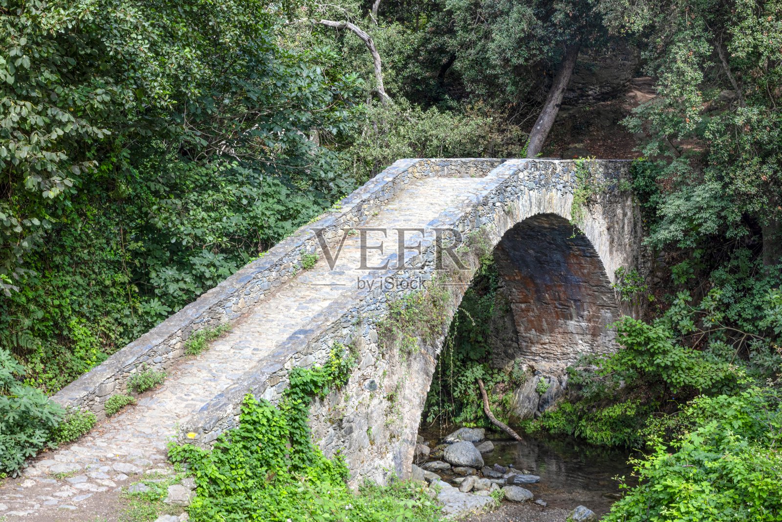 科西嘉岛上被郁郁葱葱的绿意和自然美景环绕的历史石桥布卡托桥照片摄影图片