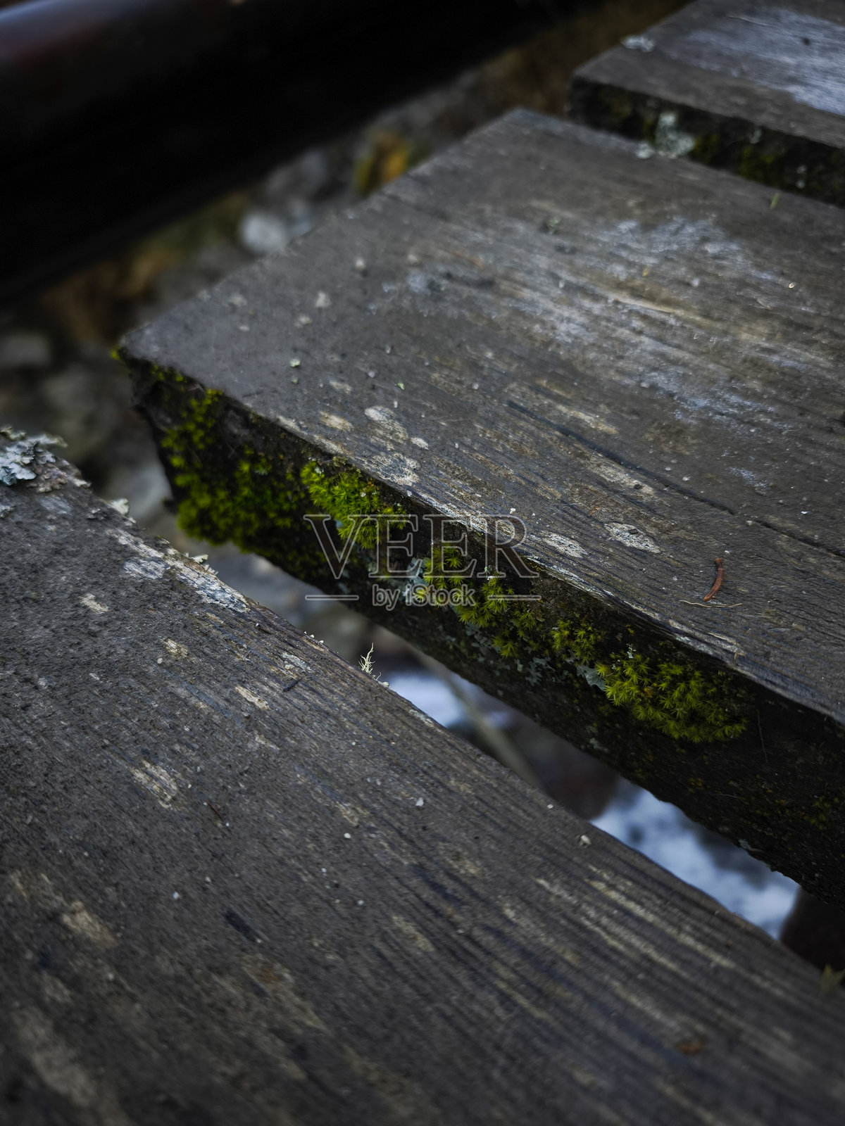 法国夏蒙尼的旧木铁路枕木上生长着苔藓照片摄影图片