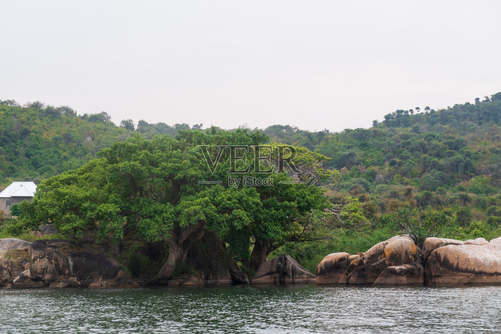 在维多利亚湖岸边照片摄影图片