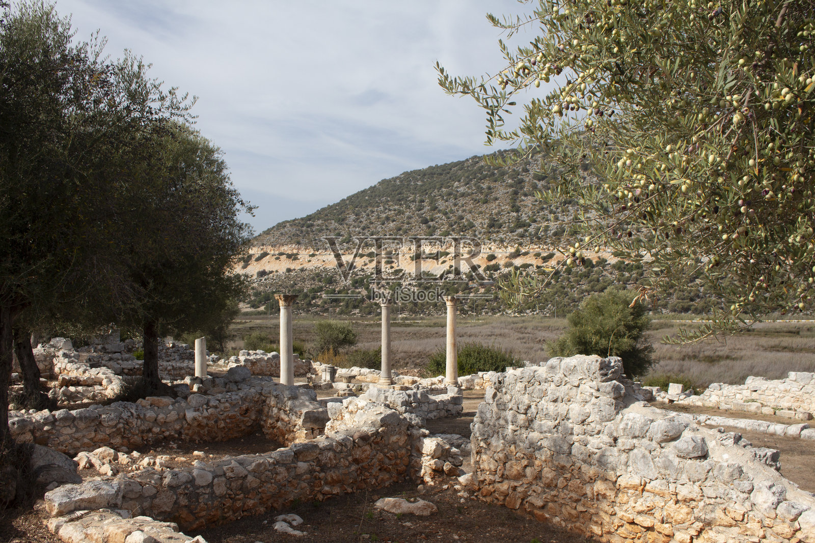 安德里亚克古城遗址和柱子前面有一棵橄榄树照片摄影图片