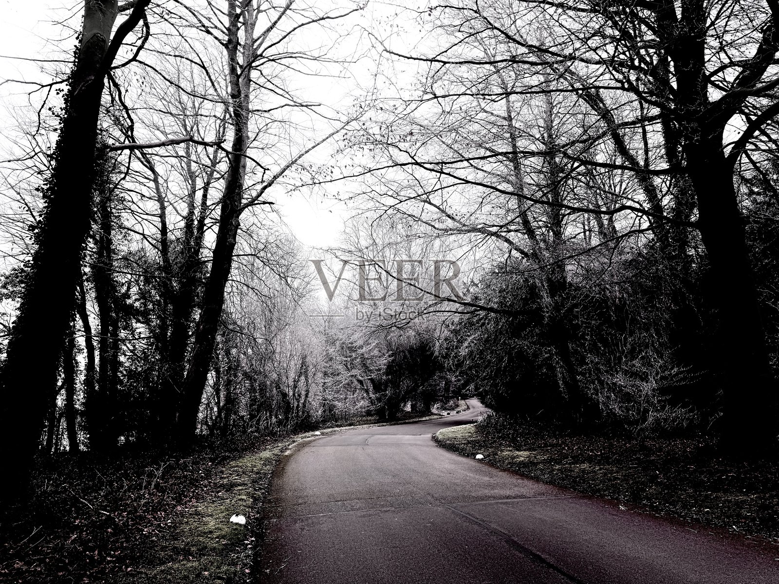 冬季的森林小路照片摄影图片