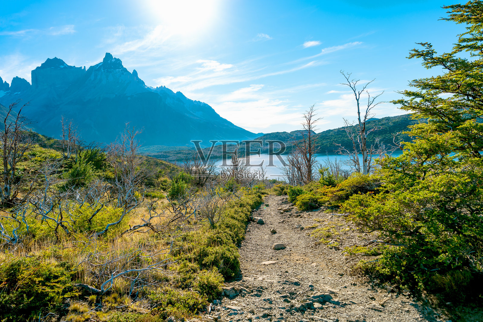 智利巴塔哥尼亚的托雷斯德尔潘恩国家公园照片摄影图片