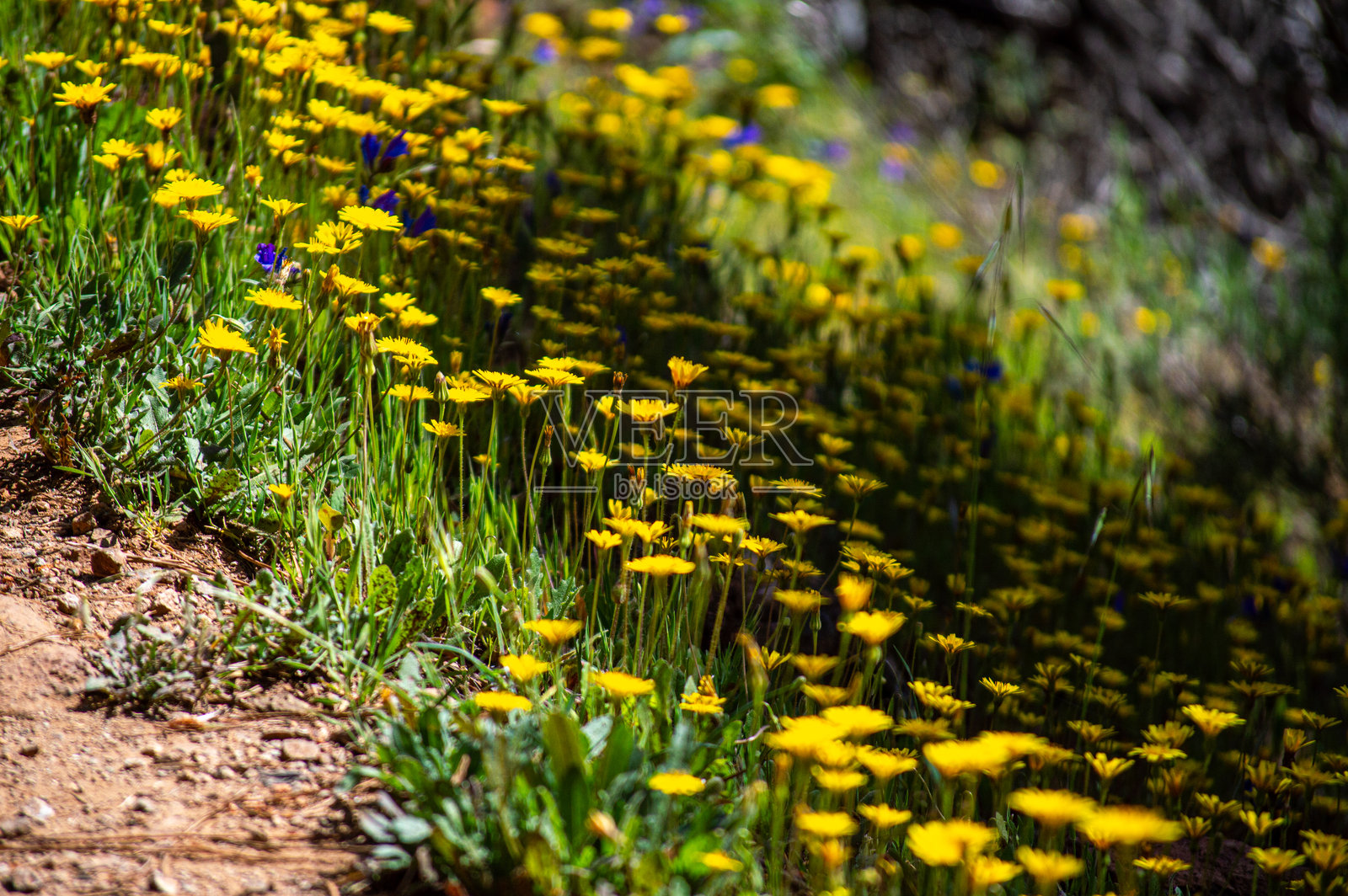 通往托洛克斯卡巴略斯河瀑布的小径照片摄影图片
