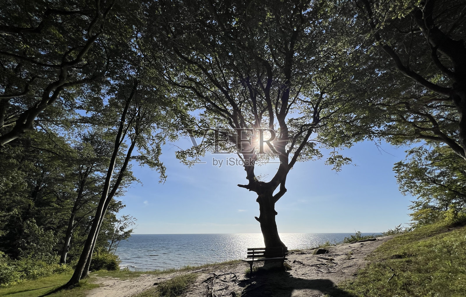 贾斯蒙国家公园 - 吕根岛照片摄影图片