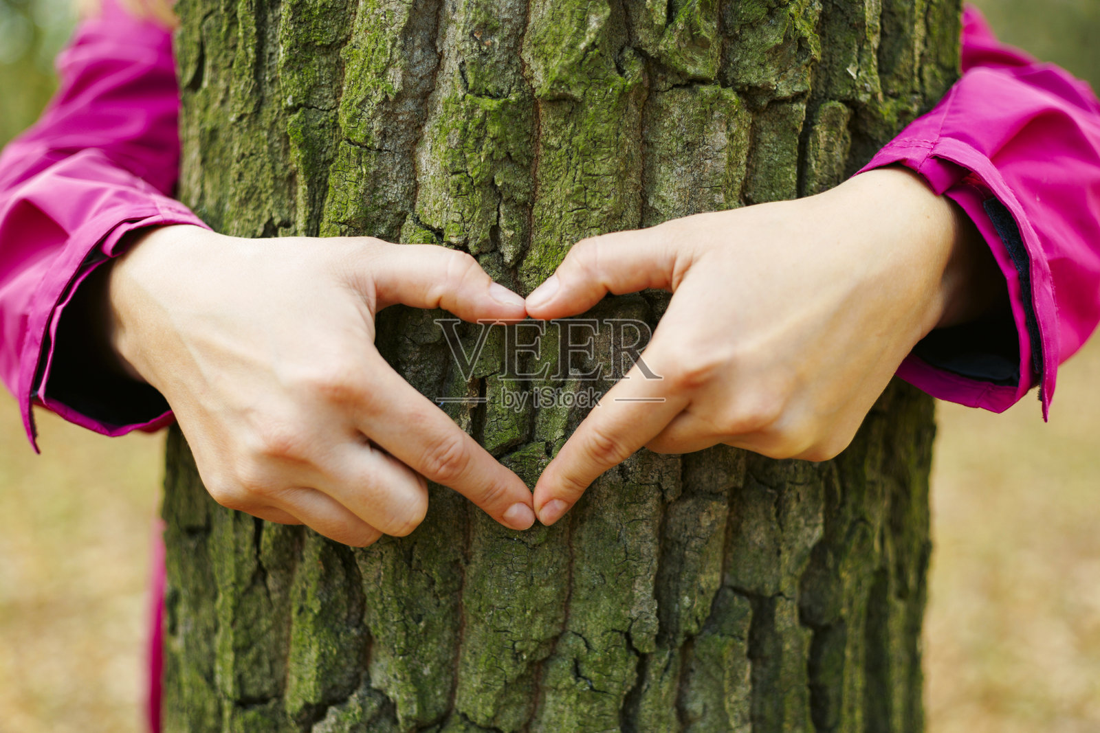 手围绕树干形成心形照片摄影图片