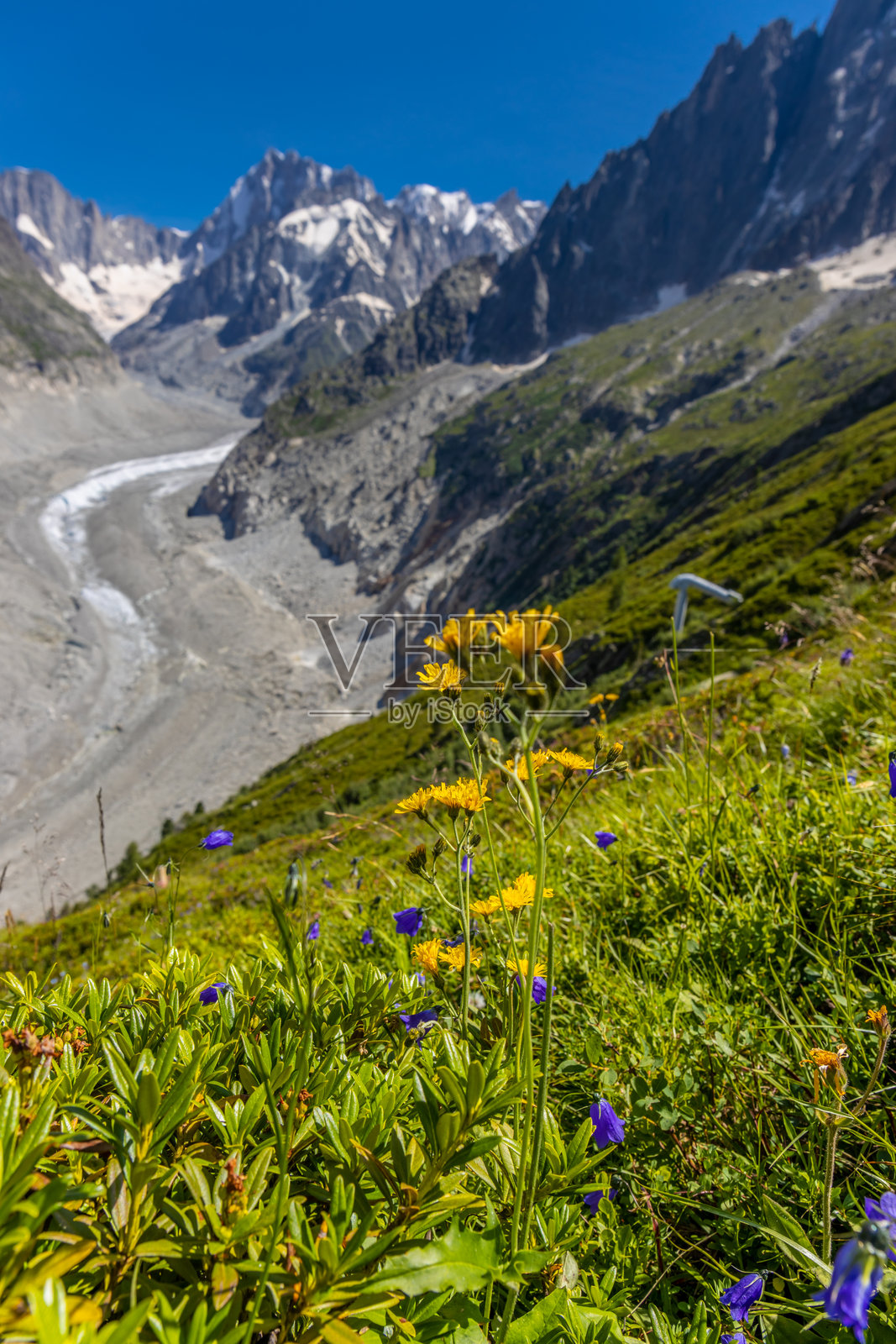 法国霞慕尼蒙布朗谷的冰川梅尔德冰川照片摄影图片