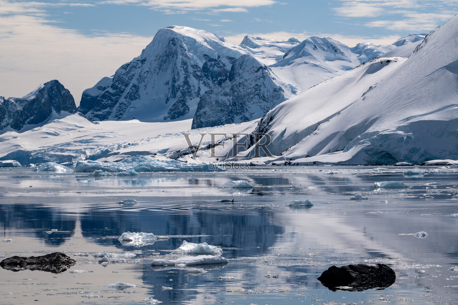 南极洲的景观。南极的海景和陆地景观。冰川和南冰洋。探险与科学。照片摄影图片