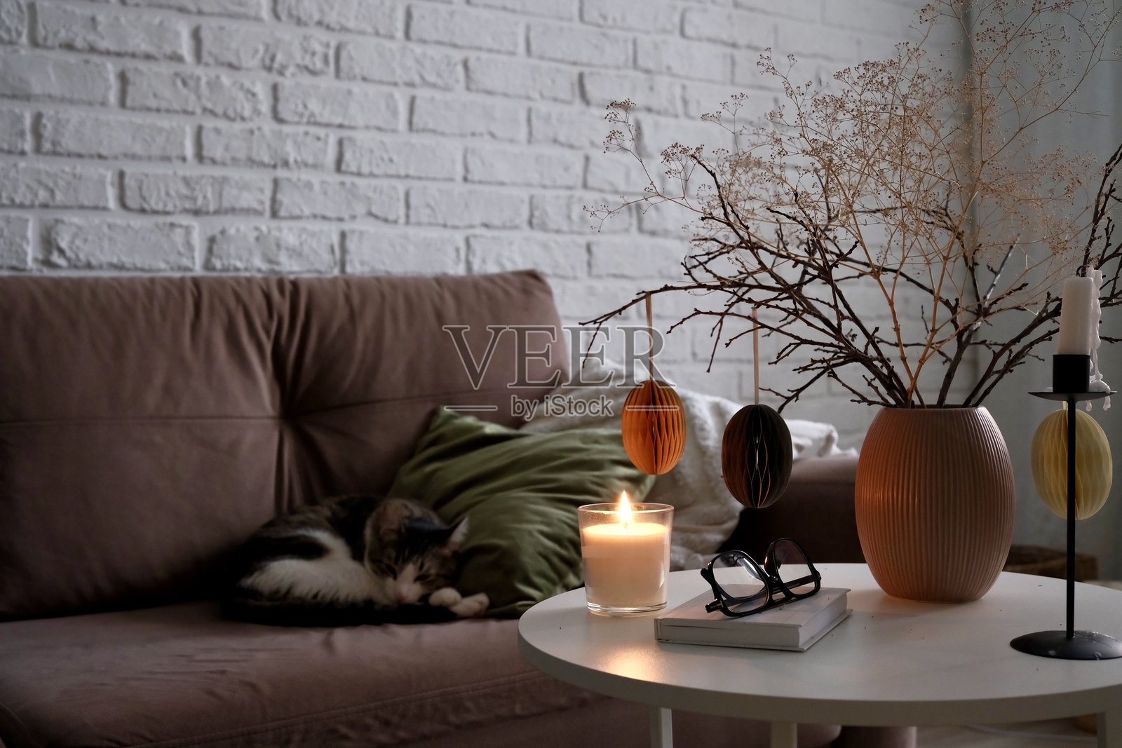 一个舒适宜人的客厅，里面有一只猫，各种装饰元素，以及温暖的氛围照片摄影图片