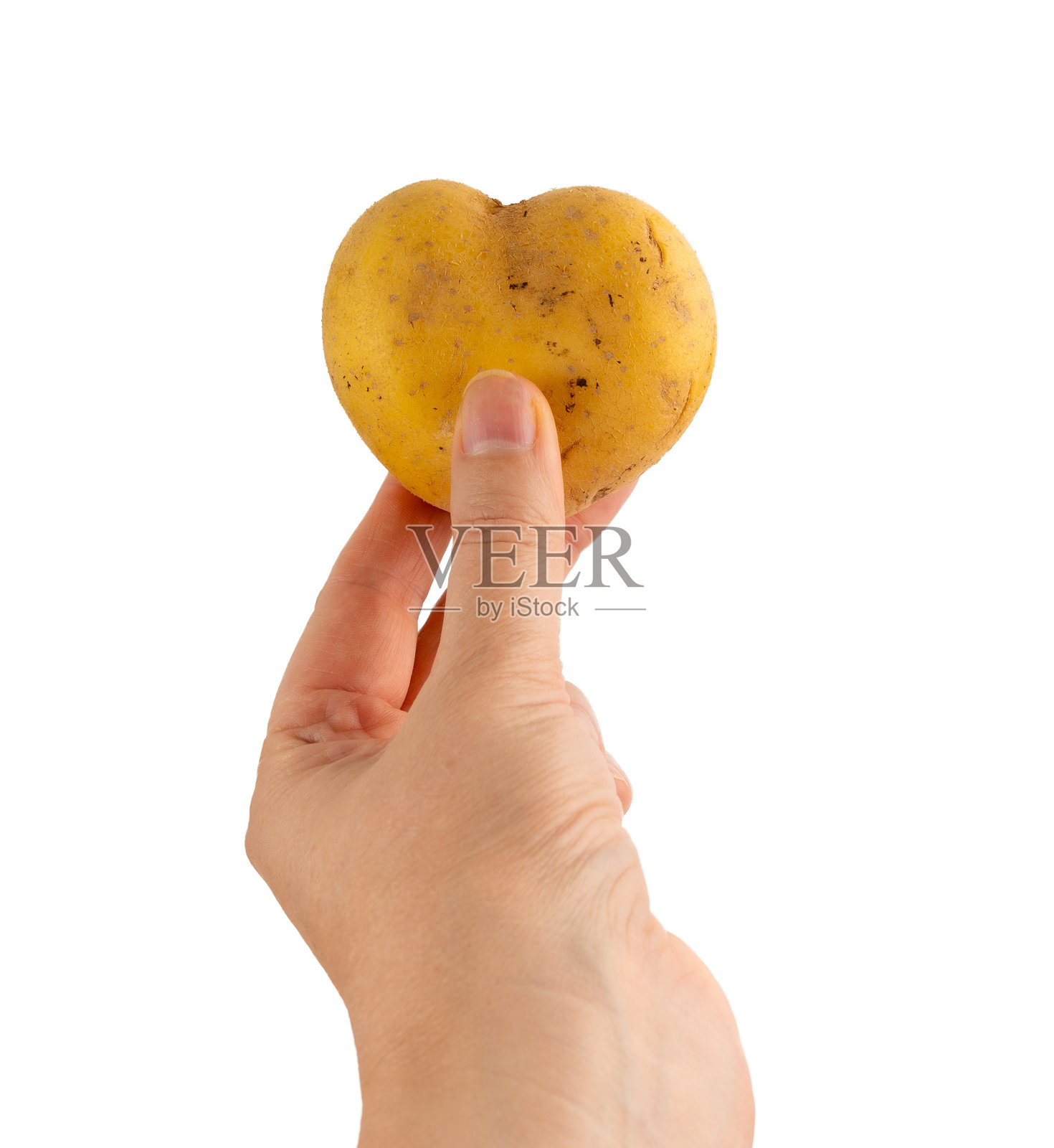 心形土豆，独特的心形土豆，奇特的蔬菜，可爱的情人节土豆，稀有发现照片摄影图片