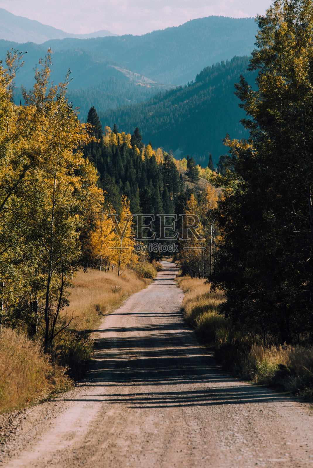 乡村道路照片摄影图片