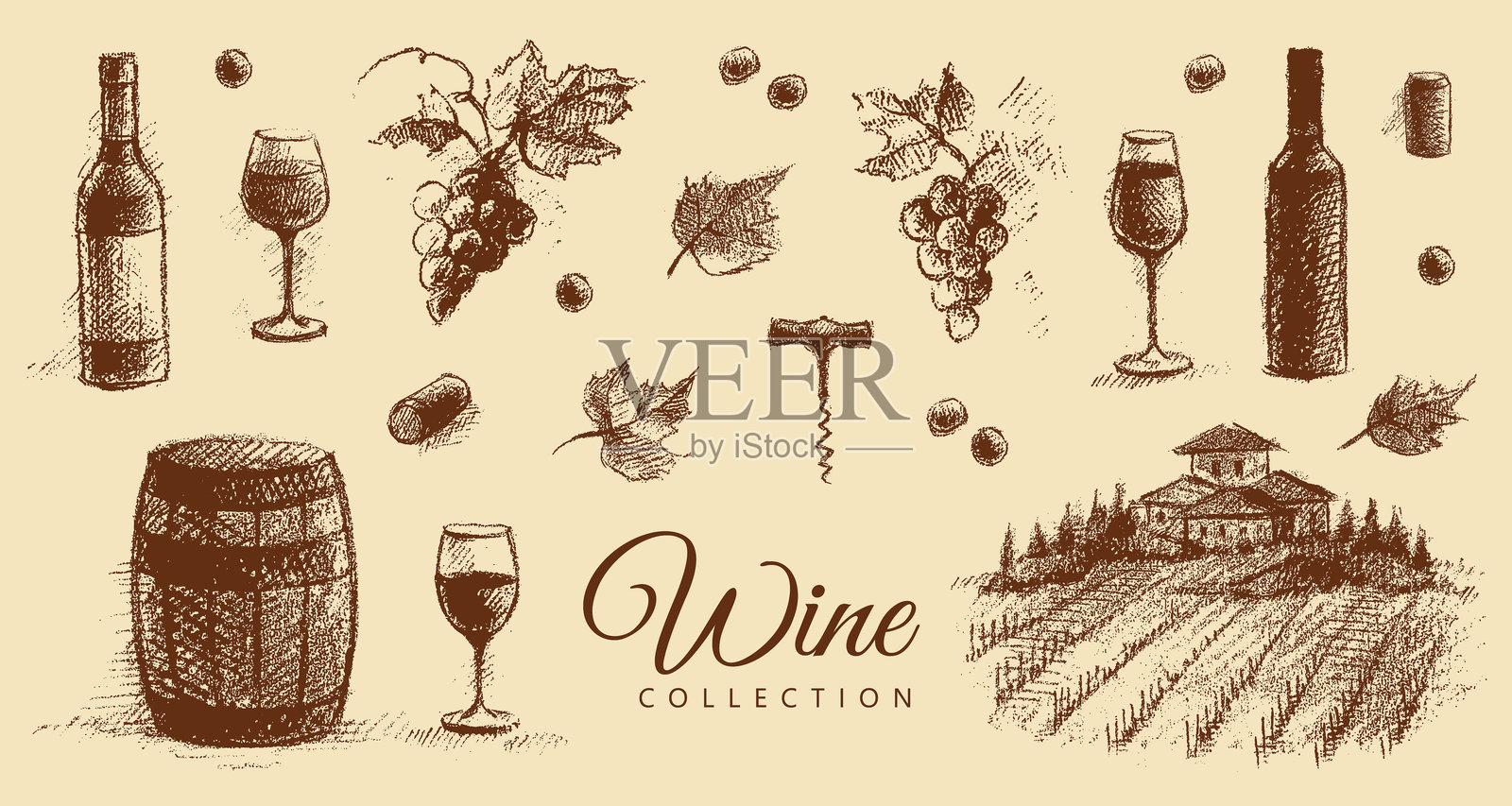 葡萄酒收藏插画图片素材