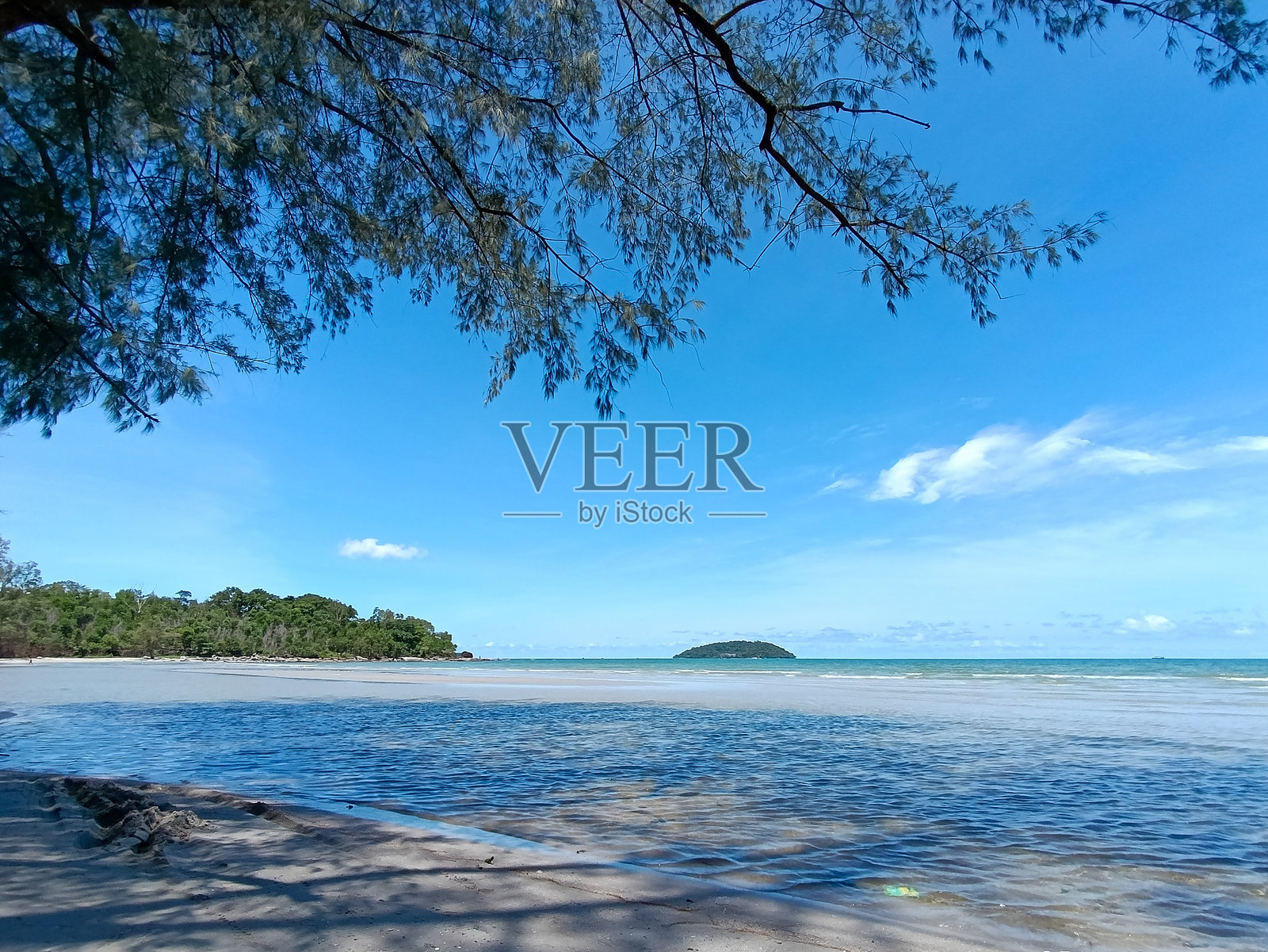 海景，清澈蓝天下的绿色叶子枝框 - 柬埔寨西哈努克市照片摄影图片