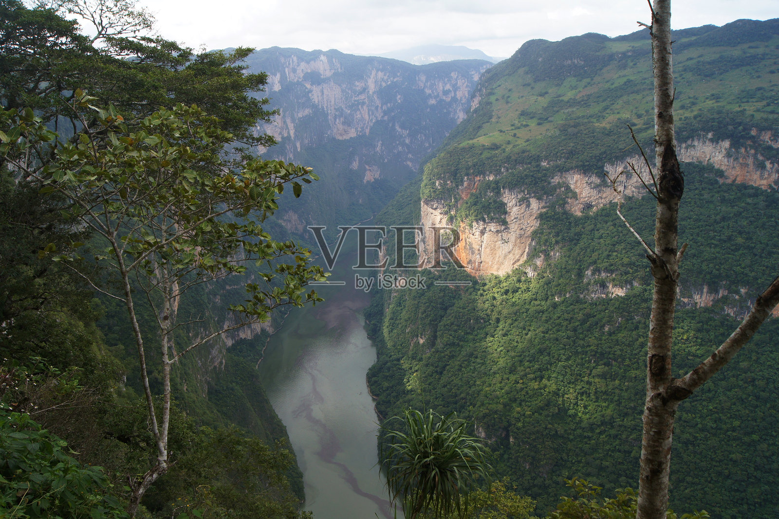 墨西哥恰帕斯州图斯特拉的苏米德罗峡谷景观照片摄影图片