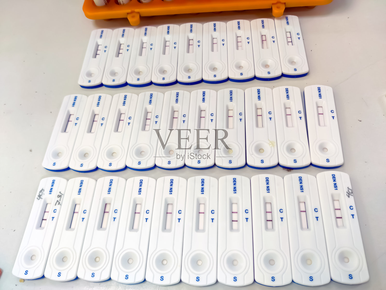 登革热抗原快速检测工具包。照片摄影图片