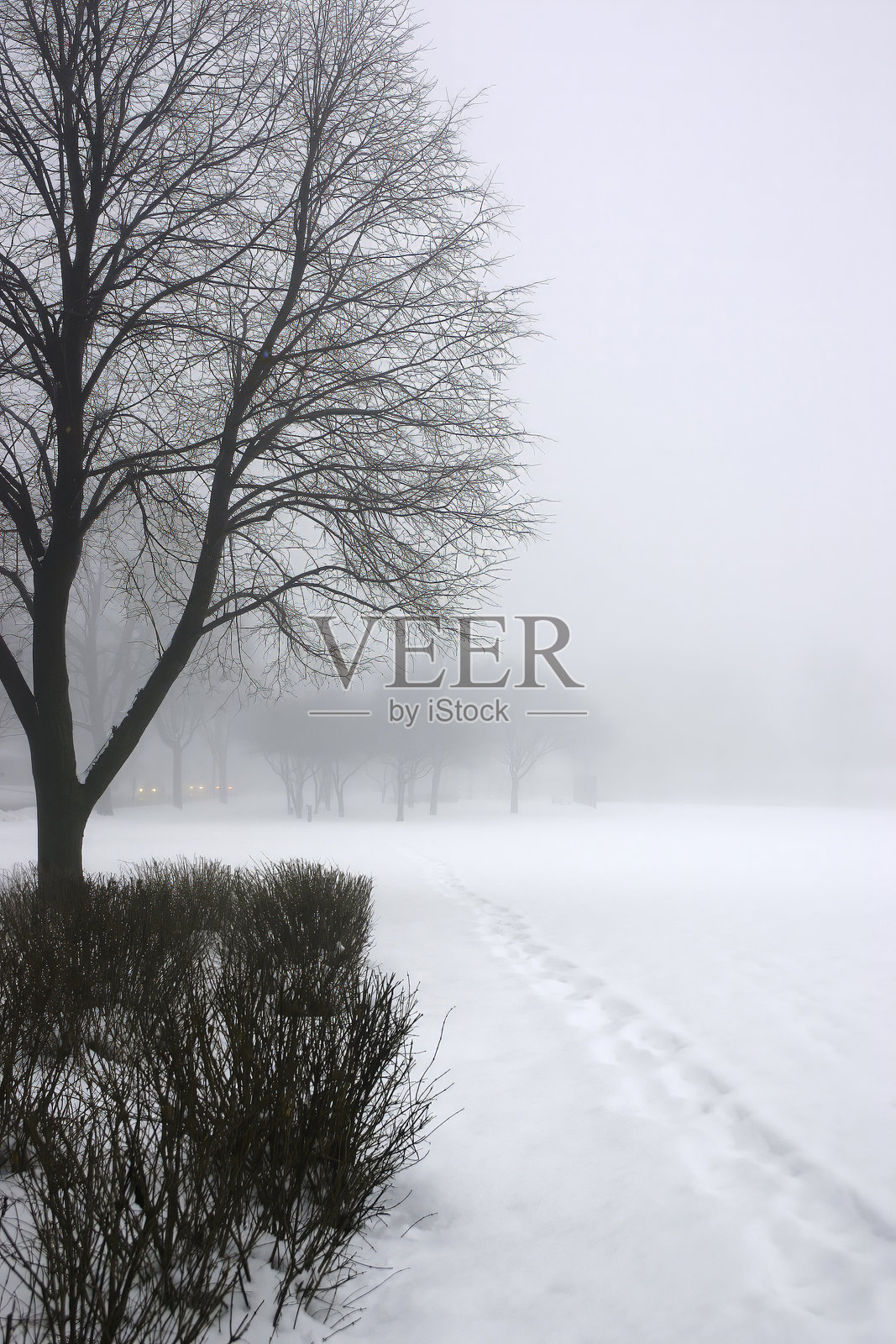 雪中的脚印照片摄影图片