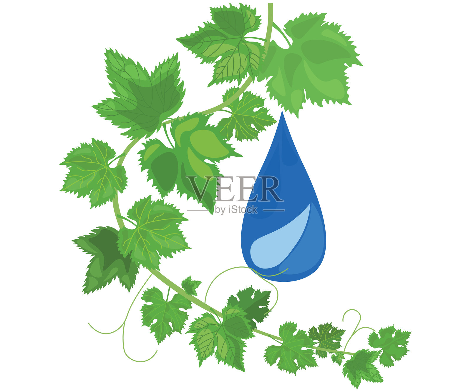 世界水日插画图片素材