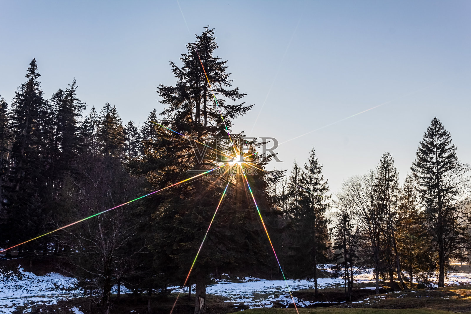 风景 - 森林 - 欧洲，罗马尼亚，苏恰瓦地区照片摄影图片