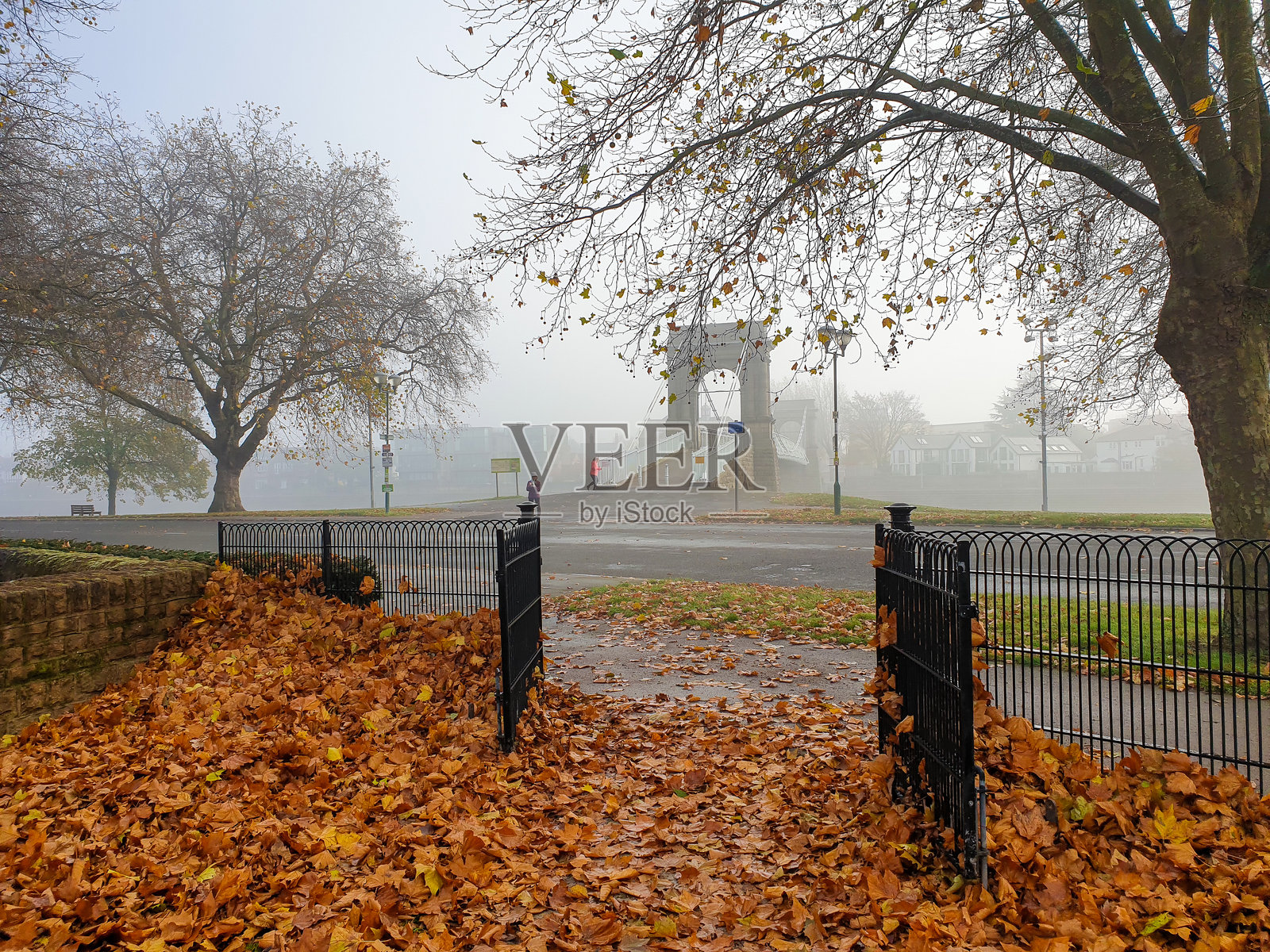 秋天色彩的树木映衬下，河面上的晨雾。照片摄影图片