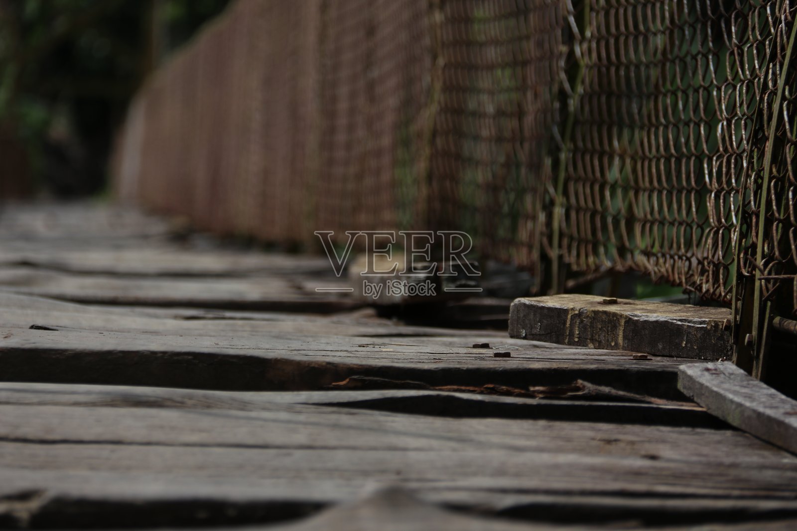 干旱照片摄影图片