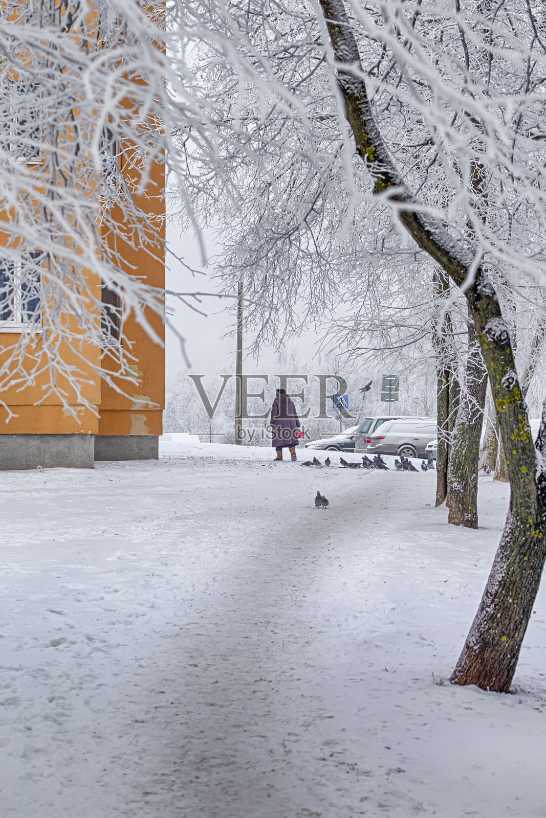 冬季风景的概念，城市公园被雪覆盖，远处是多层建筑，寒冷阳光明媚的冬日。照片摄影图片
