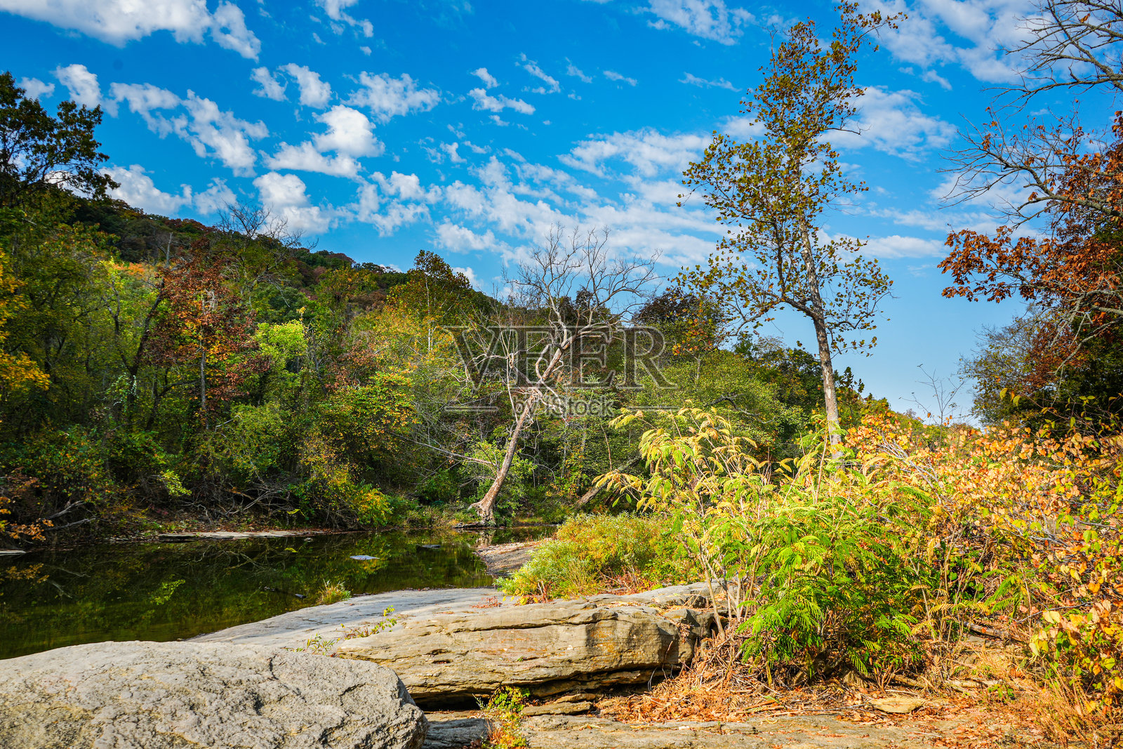 阿肯色州布伦特伍德社区公园照片摄影图片
