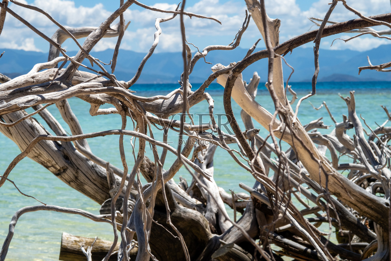太平洋海滩照片摄影图片