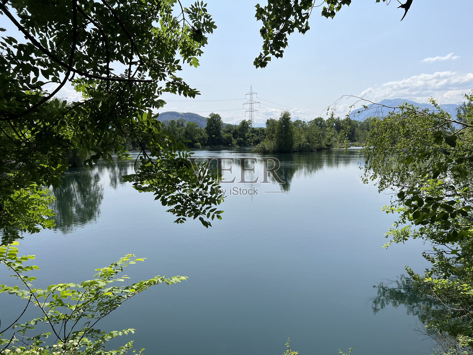 瑞士迪波尔茨瑙老莱茵自然与景观保护区的夏季氛围照片摄影图片