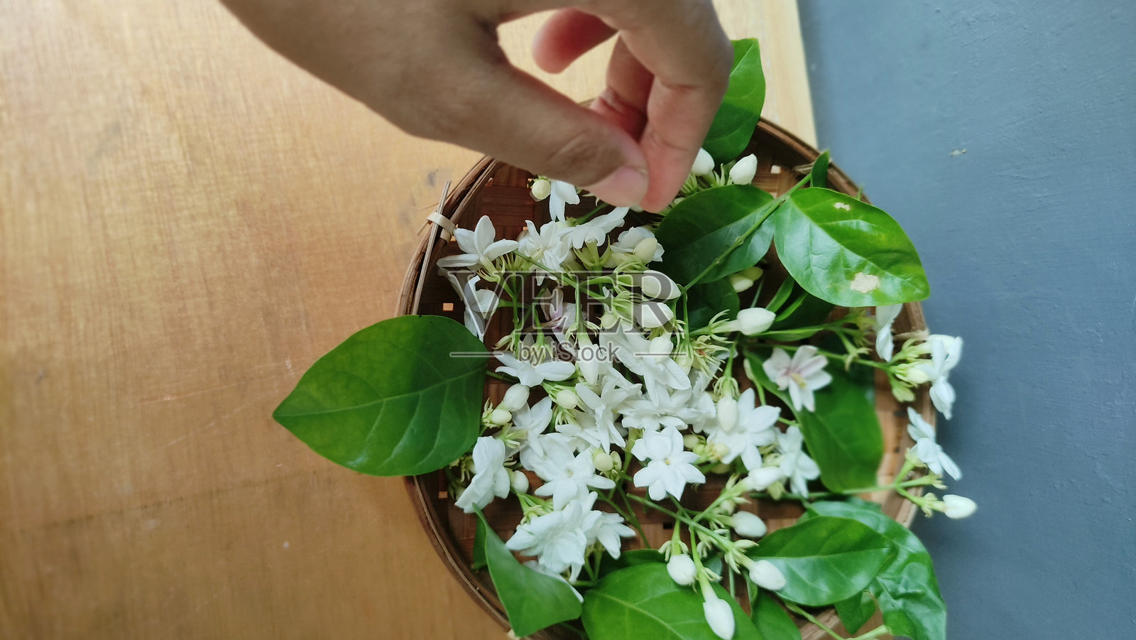 桌子上的白色茉莉花特写，散发着独特的宁静香气照片摄影图片
