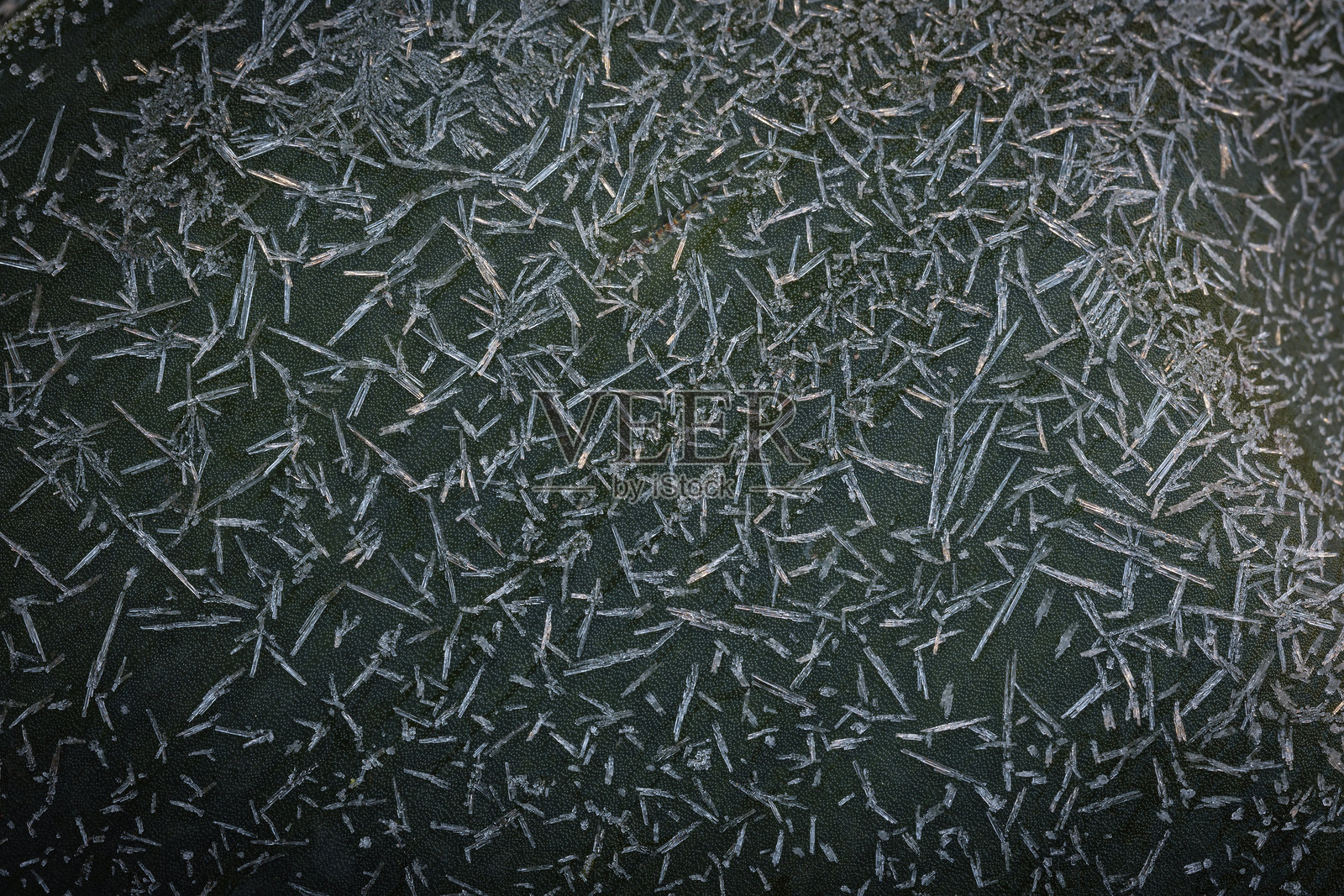 寒冷冬晨植物叶子上的霜冻冰晶特写细节照片摄影图片