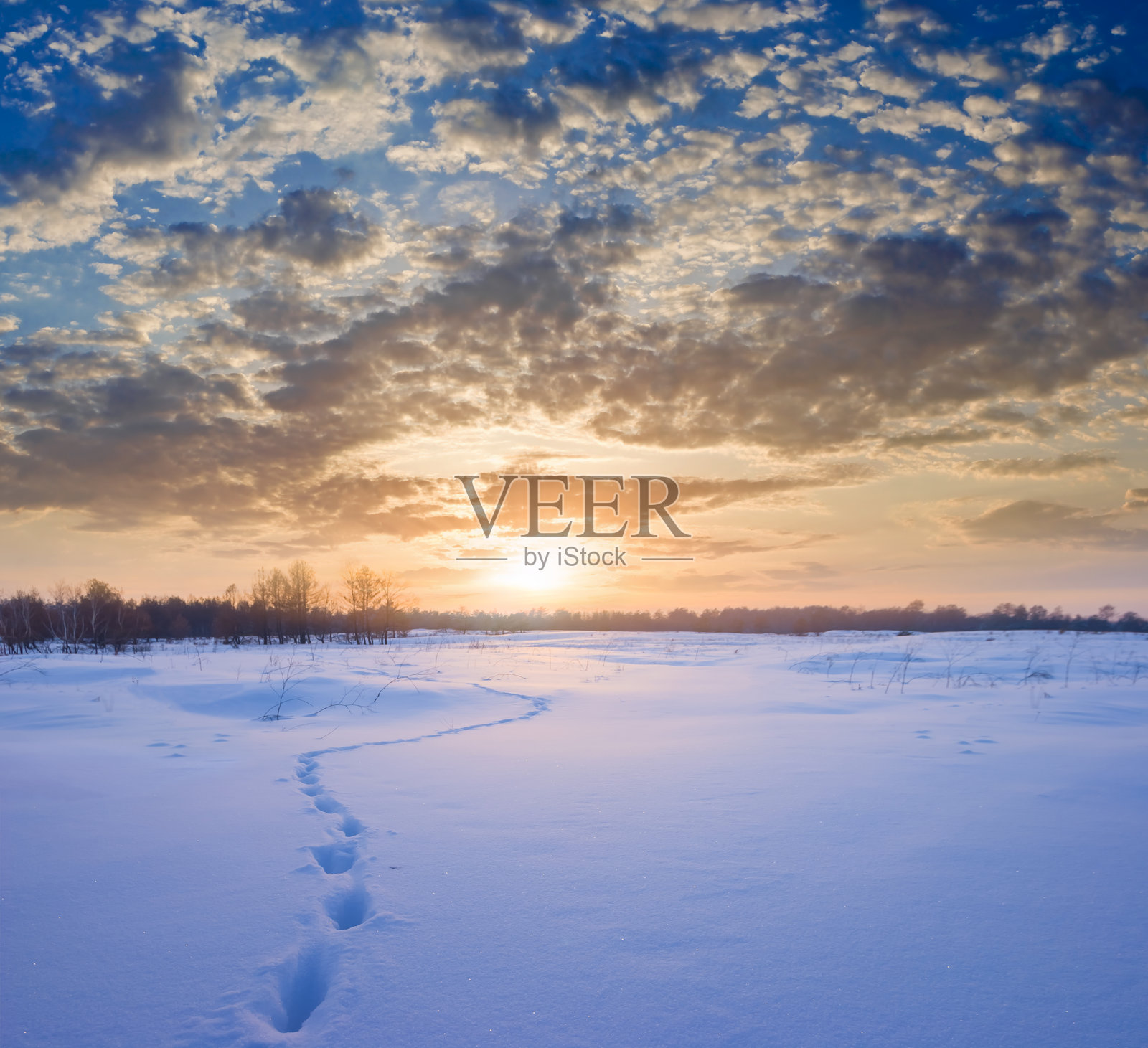 冬季被雪覆盖的平原在戏剧性的日落下，季节性的户外傍晚场景照片摄影图片