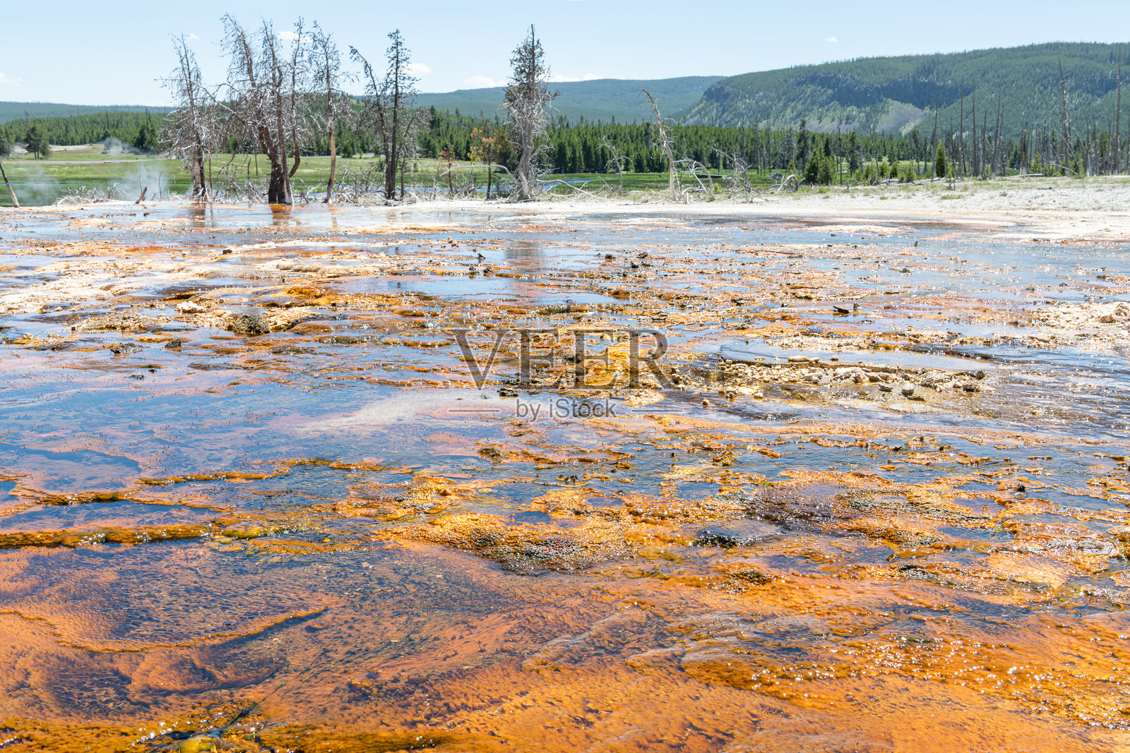 黄石公园饼干盆地的地热温泉，怀俄明州，美国照片摄影图片