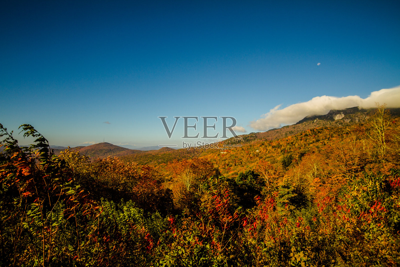 蓝岭公园大道照片摄影图片