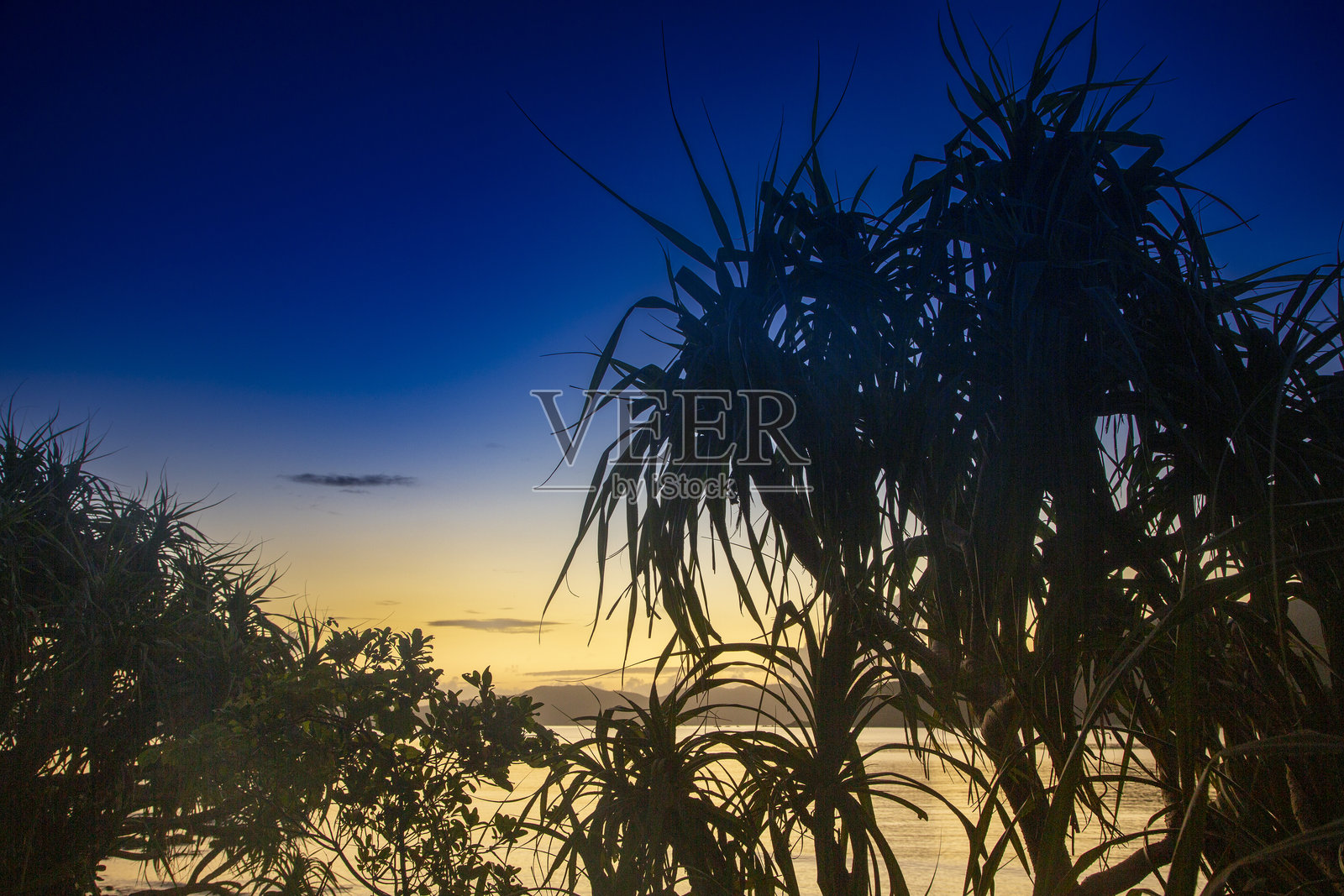 创意的奄美照片摄影图片