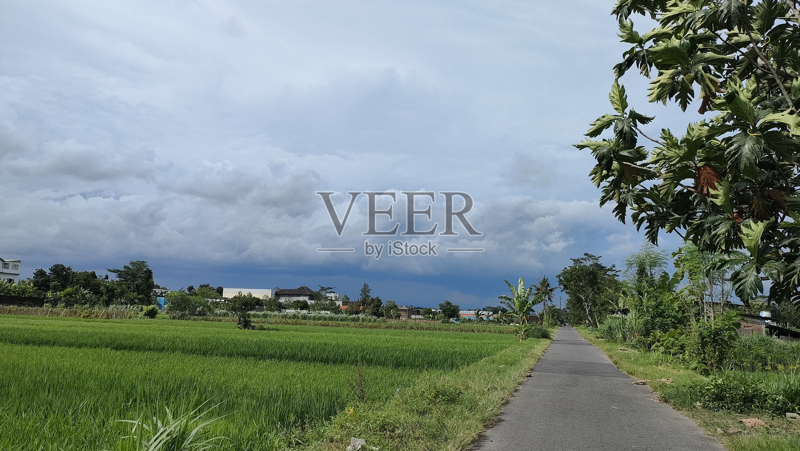 阴云密布的紧张自然景观照片摄影图片