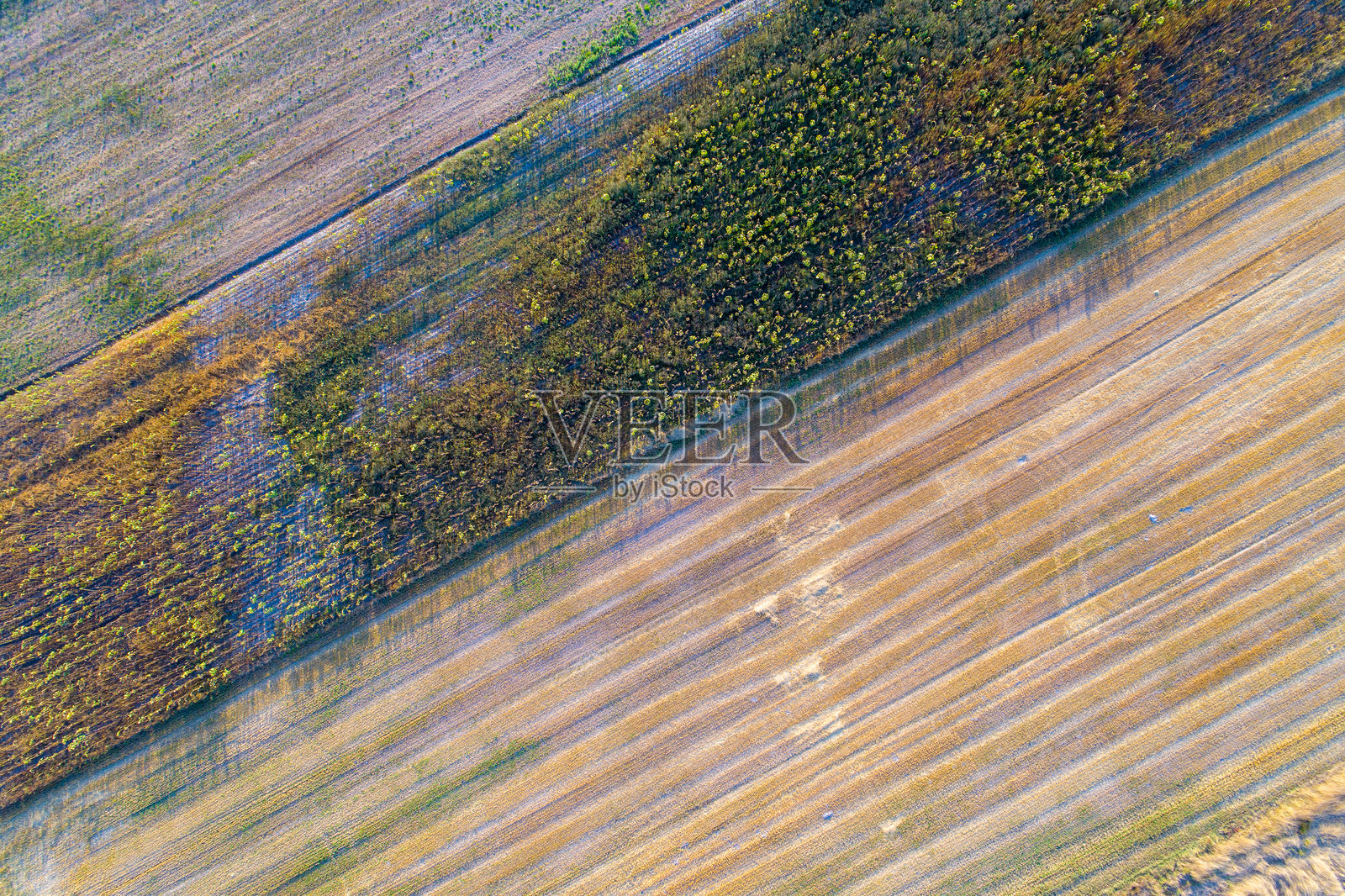 秋天的农业田野在日落时分，航拍俯视图照片摄影图片